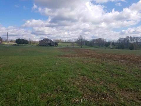 109 Sable Ln, Georgetown, KY 40324 photo 5