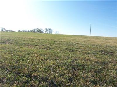 100 Collins Risk Rd, Georgetown, KY 40324 photo 3