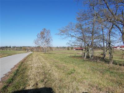 100 Collins Risk Rd, Georgetown, KY 40324 photo 4