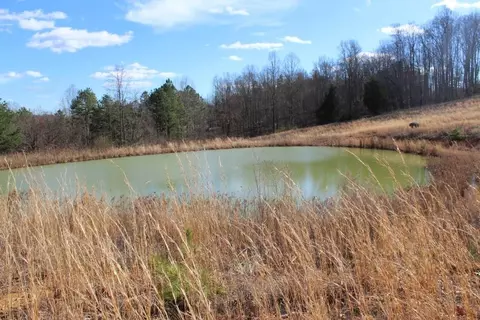 1176 War Fork Rd, Mckee, KY 40447 photo 18