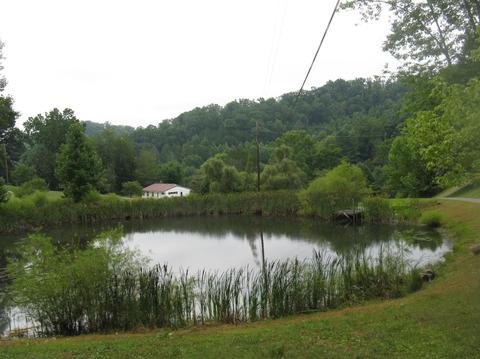 130 Singleton Dr, Manchester, KY 40962 photo 4