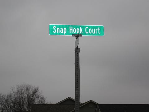 102 Snap Hook Ct, Georgetown, KY 40324 photo 9