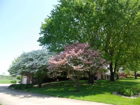 308 Farmbrook Cir, Frankfort, KY 40601 photo 2
