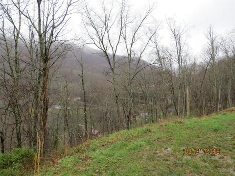 116 Conley Hl, Bledsoe, KY 40810 photo 28