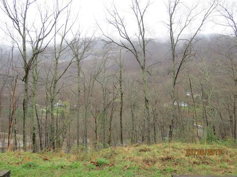 116 Conley Hl, Bledsoe, KY 40810 photo 34