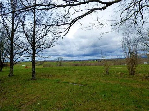 687 Bowmans Mill Rd, Berry, KY 41003 photo 10