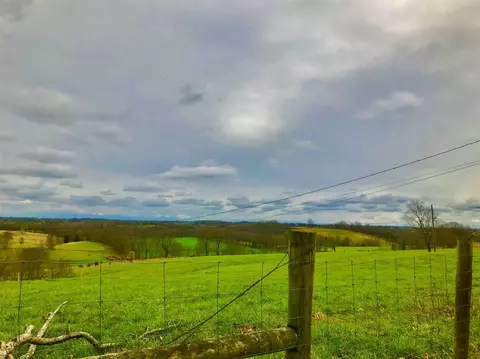 687 Bowmans Mill Rd, Berry, KY 41003 photo 14