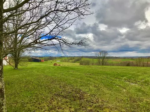 687 Bowmans Mill Rd, Berry, KY 41003 photo 13