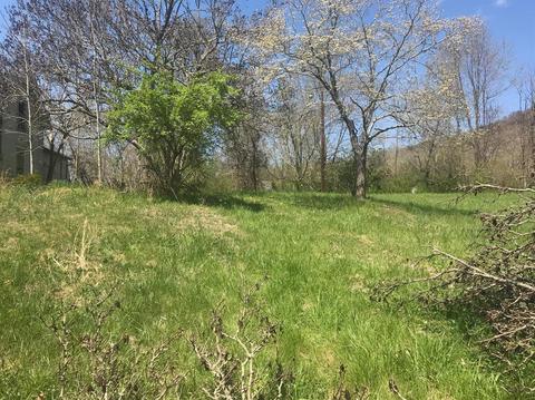 121 Cherry St, Irvine, KY 40336 photo 4