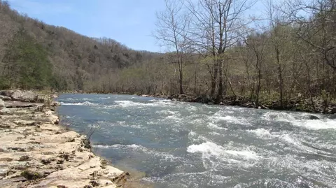 3867 Newfound Rd, Oneida, KY 40972 photo 49
