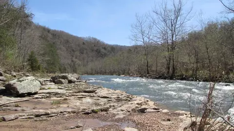3867 Newfound Rd, Oneida, KY 40972 photo 46
