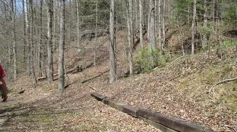 3867 Newfound Rd, Oneida, KY 40972 photo 30