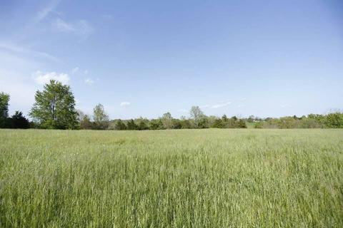 166 Freybrook, Richmond, KY 40475 photo 7