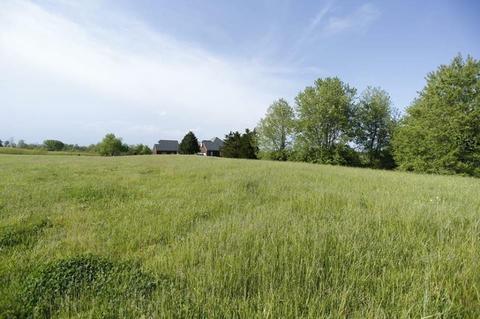 166 Freybrook, Richmond, KY 40475 photo 6