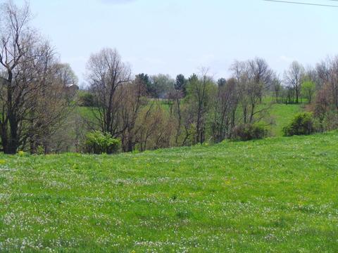 2156 L E Junction Rd, Winchester, KY 40391 photo 3