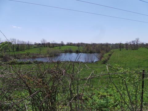 2156 L E Junction Rd, Winchester, KY 40391 photo 2