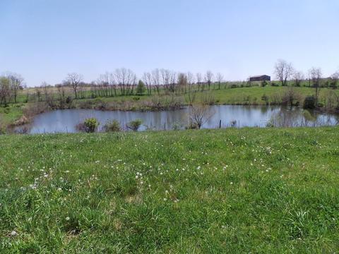 2156 L E Junction Rd, Winchester, KY 40391 photo 4