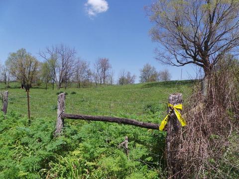 2156 L E Junction Rd, Winchester, KY 40391 photo 9