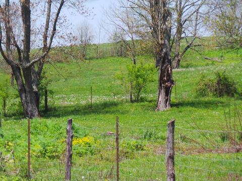 2156 L E Junction Rd, Winchester, KY 40391 photo 12