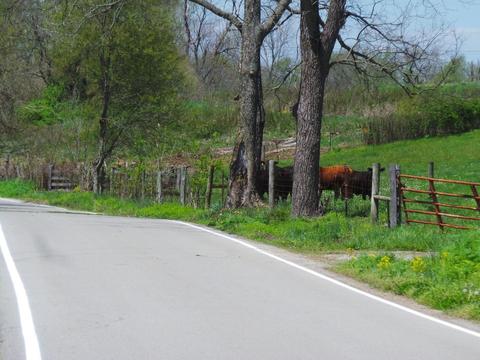 2156 L E Junction Rd, Winchester, KY 40391 photo 1