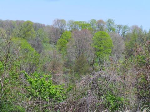 2156 L E Junction Rd, Winchester, KY 40391 photo 11