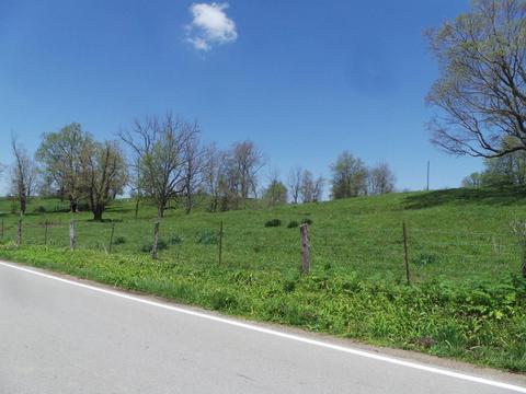 2156 L E Junction Rd, Winchester, KY 40391 photo 10
