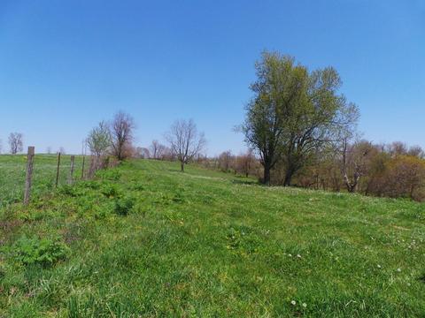 2156 L E Junction Rd, Winchester, KY 40391 photo 8