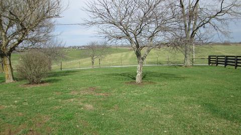 220 Tea Run Rd, Ewing, KY 41039 photo 2