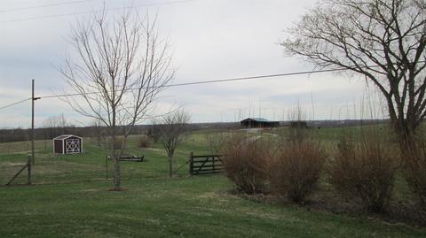 220 Tea Run Rd, Ewing, KY 41039 photo 12