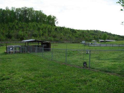 5 Mickey Ln, Corbin, KY 40701 photo 28
