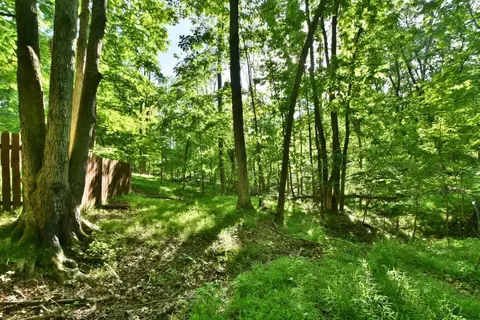 101 Eider Ct, Georgetown, KY 40324 photo 68