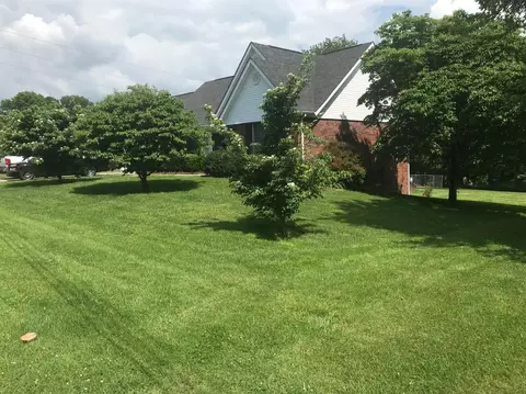 186 Apache Dr, Science Hill, KY 42553 photo 9