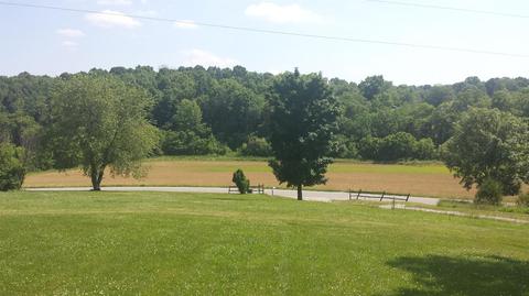 389 Biddle Pike, Georgetown, KY 40324 photo 5