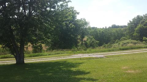 389 Biddle Pike, Georgetown, KY 40324 photo 4