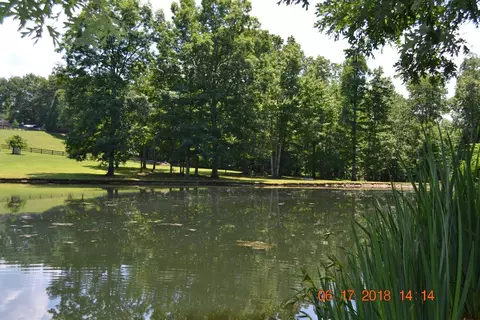 1445 Chestnut Rd, Corbin, KY 40701 photo 10