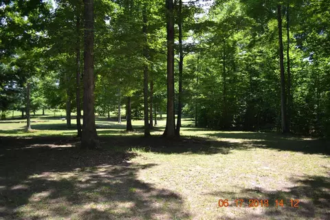 1445 Chestnut Rd, Corbin, KY 40701 photo 7