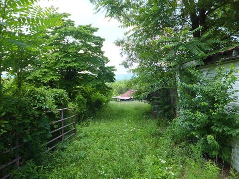 262 Log Cabin Rd, Berea, KY 40403 photo 14