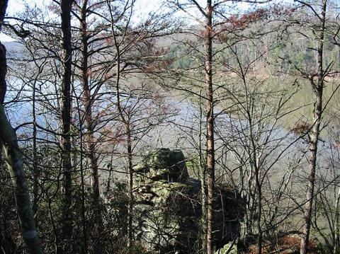 195 Scott Rd, Corbin, KY 40701 photo 38