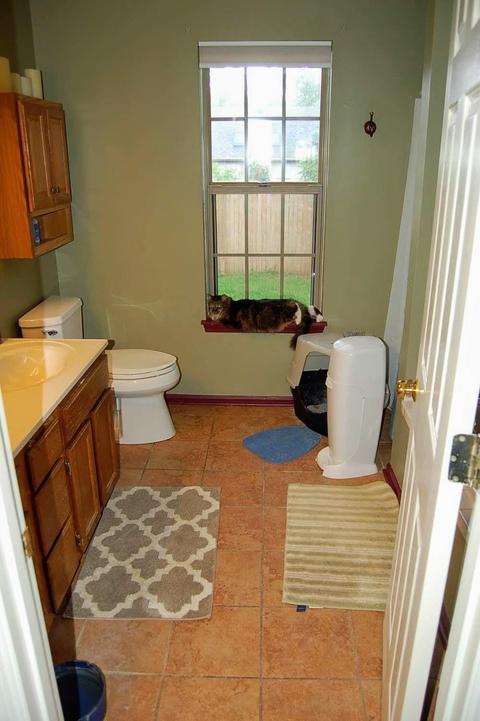 108 Cave Run Ct, Georgetown, KY 40324 photo 10