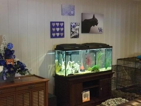 1110 Comanche Trl, Georgetown, KY 40324 photo 30