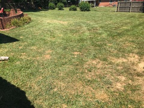 1110 Comanche Trl, Georgetown, KY 40324 photo 66
