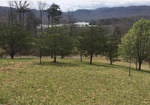561 Owsley Fork Rd, Berea, KY 40403 photo 3