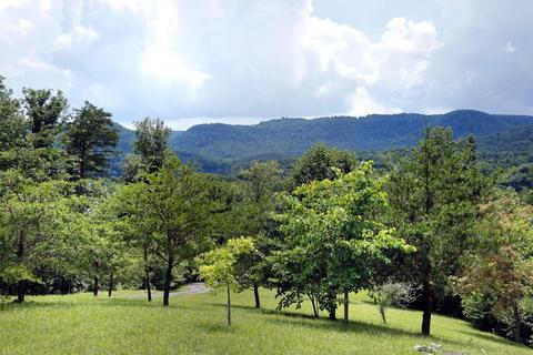 561 Owsley Fork Rd, Berea, KY 40403 photo 6