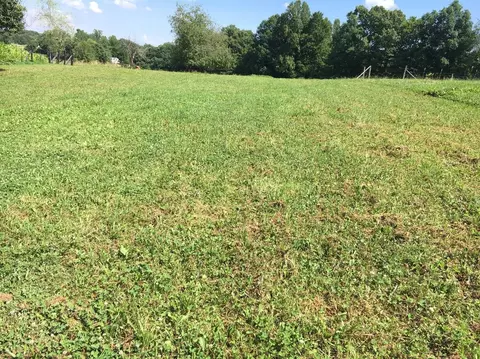 564 Byrley Rd, Corbin, KY 40701 photo 9