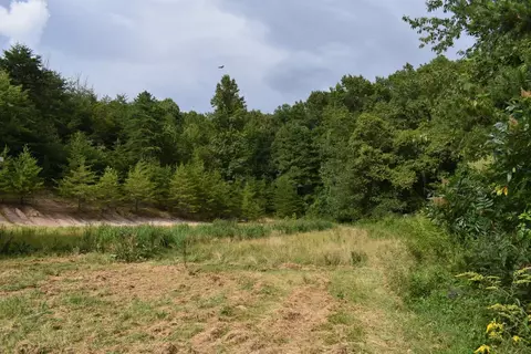 630 Tunnel Cut Loop, Morehead, KY 40351 photo 16
