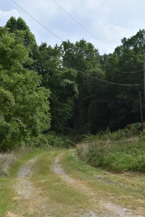 630 Tunnel Cut Loop, Morehead, KY 40351 photo 4