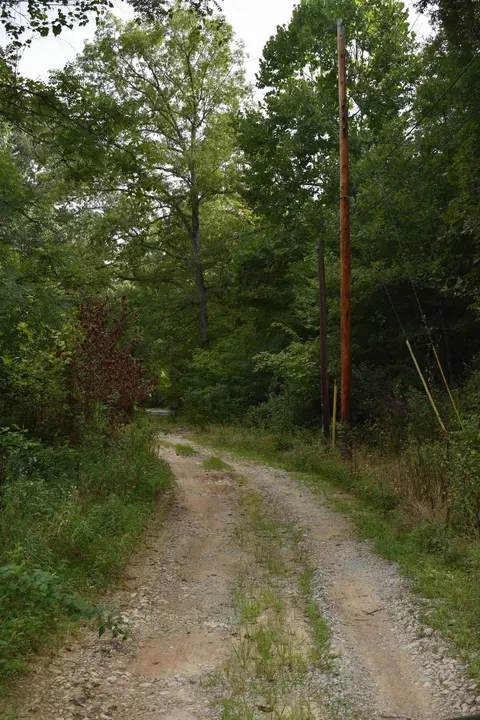 630 Tunnel Cut Loop, Morehead, KY 40351 photo 1