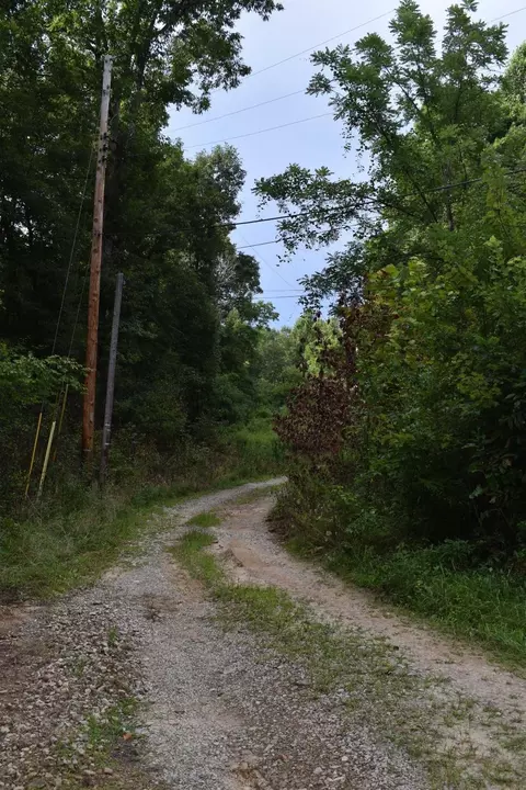 630 Tunnel Cut Loop, Morehead, KY 40351 photo 2