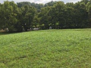  116 S Creek St, Frankfort, KY 40601 photo 5