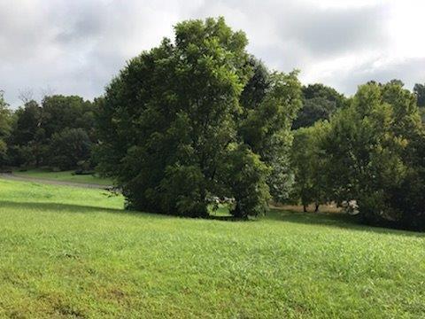  116 S Creek St, Frankfort, KY 40601 photo 8